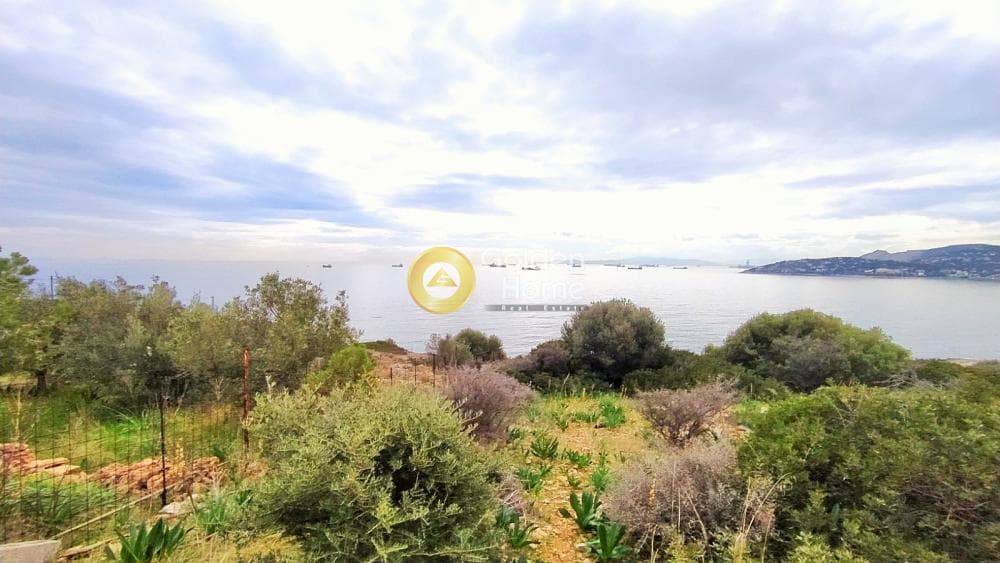 Οικόπεδο στην Κυνόσουρα, Αμπελάκια — Φωτογραφία 4 από 10