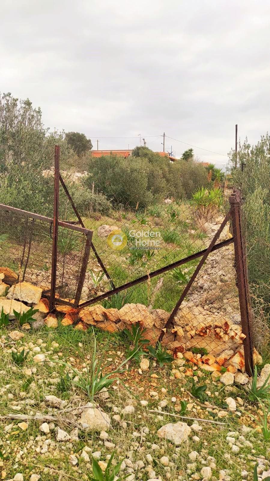 Οικόπεδο στην Κυνόσουρα, Αμπελάκια — Φωτογραφία 7 από 10