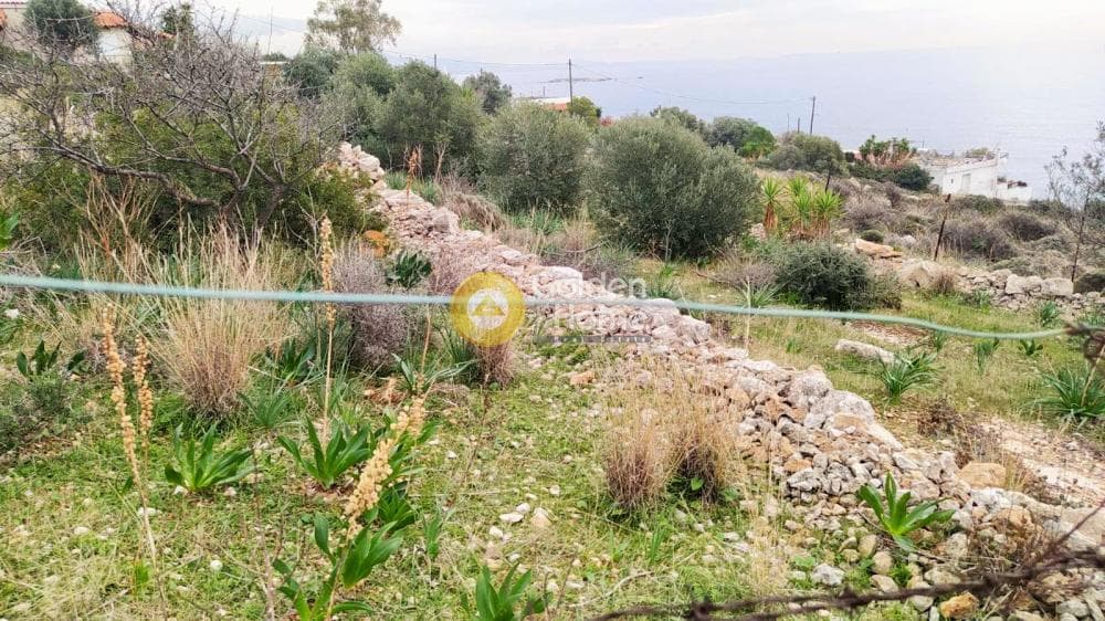 Οικόπεδο στην Κυνόσουρα, Αμπελάκια — Φωτογραφία 9 από 10
