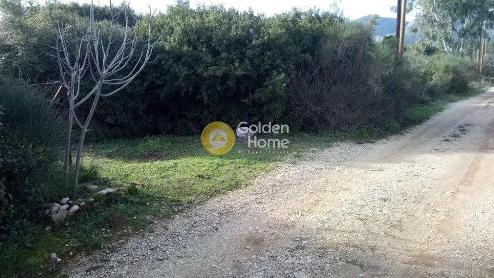 Αγροτεμάχιο στην Μεγάλα Σχοινία Α, Αχαρνές — Φωτογραφία 1 από 5
