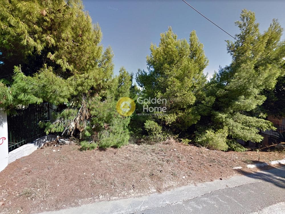Building Plot in Kalitexnoupoli, Rafina — Photo 1 of 3