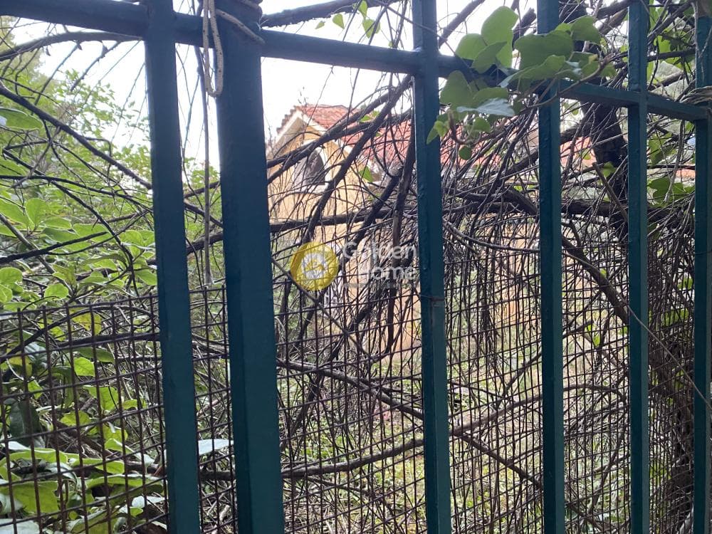 Οικόπεδο στην Δροσιά, Δροσιά — Φωτογραφία 5 από 6