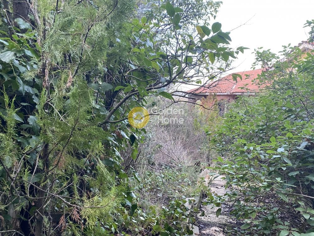 Οικόπεδο στην Δροσιά, Δροσιά — Φωτογραφία 6 από 6