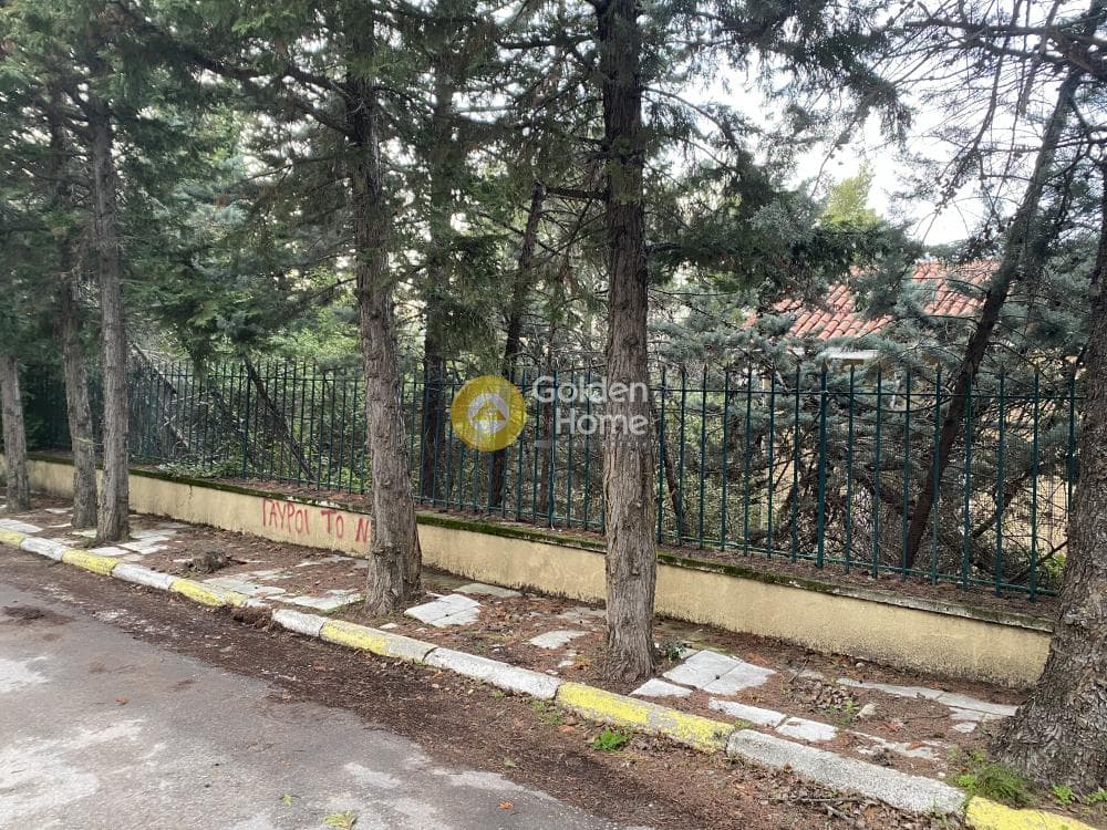 Οικόπεδο στην Δροσιά, Δροσιά — Φωτογραφία 3 από 6