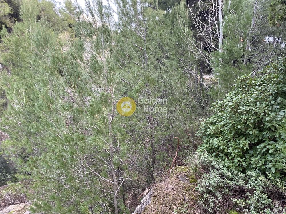 Οικόπεδο στην Δροσιά, Δροσιά — Φωτογραφία 3 από 6