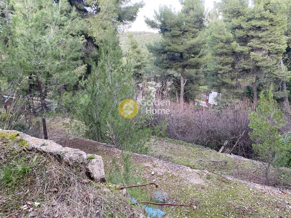 Οικόπεδο στην Δροσιά, Δροσιά — Φωτογραφία 5 από 6