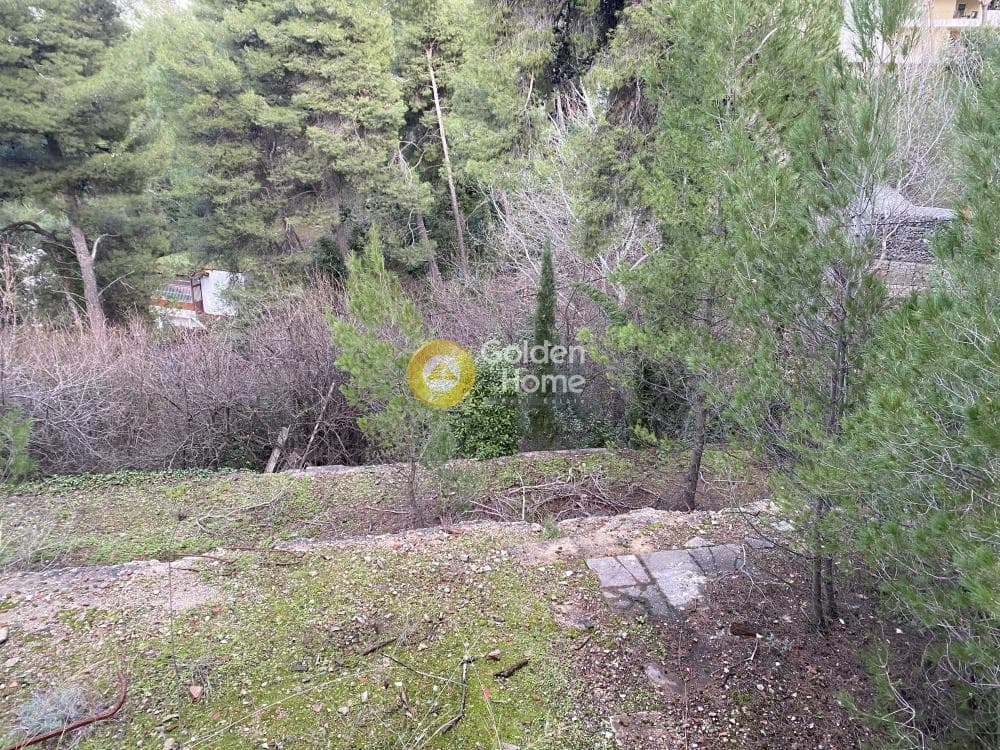 Οικόπεδο στην Δροσιά, Δροσιά — Φωτογραφία 6 από 6