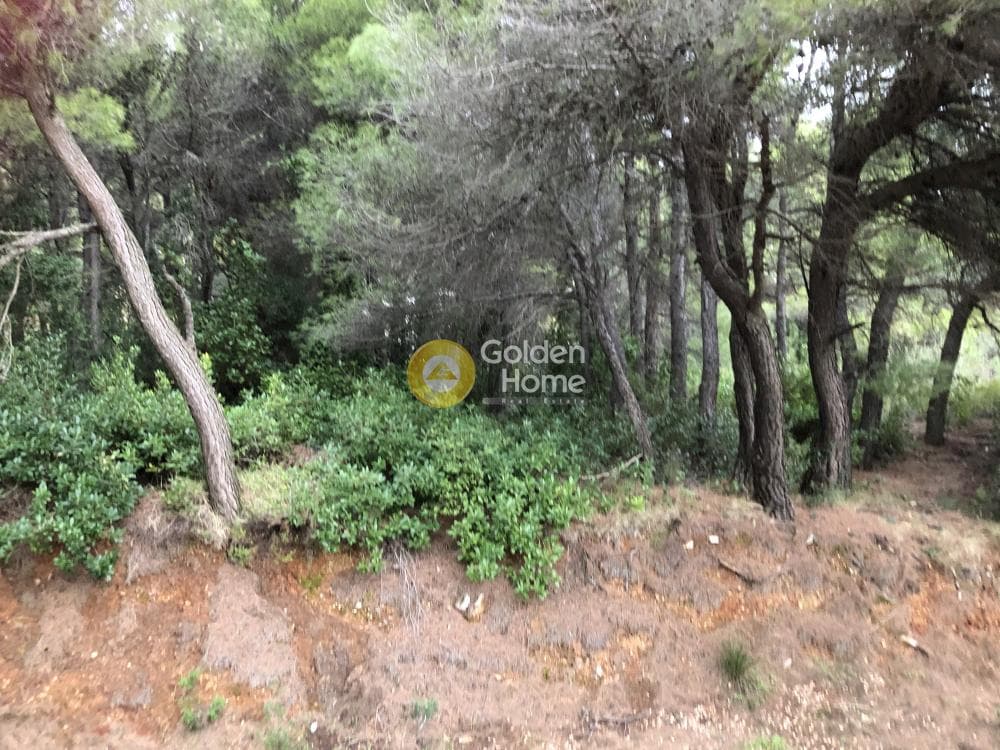 Οικόπεδο στην Μεγάλα Σχοινία Α, Αχαρνές — Φωτογραφία 2 από 8