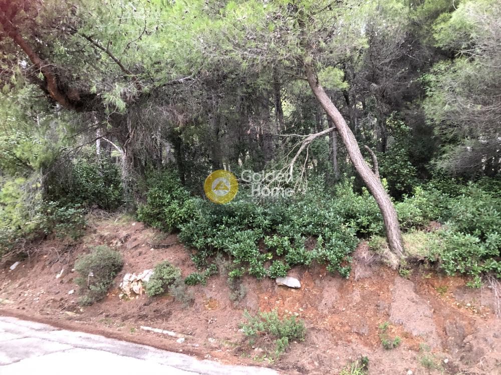 Οικόπεδο στην Μεγάλα Σχοινία Α, Αχαρνές — Φωτογραφία 3 από 8