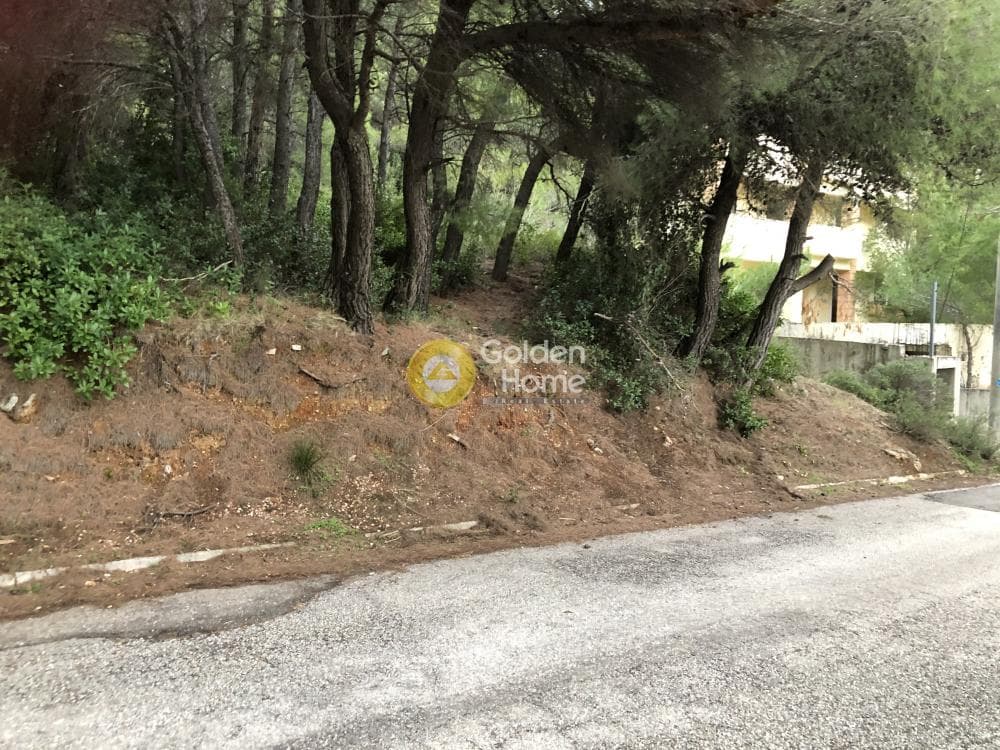 Οικόπεδο στην Μεγάλα Σχοινία Α, Αχαρνές — Φωτογραφία 4 από 8