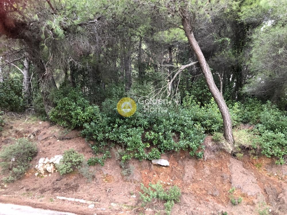 Οικόπεδο στην Μεγάλα Σχοινία Α, Αχαρνές — Φωτογραφία 5 από 8