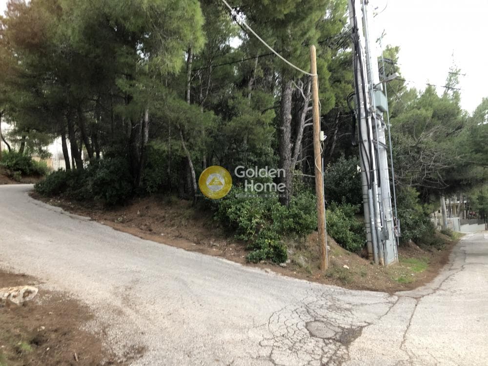 Οικόπεδο στην Μεγάλα Σχοινία Α, Αχαρνές — Φωτογραφία 7 από 8