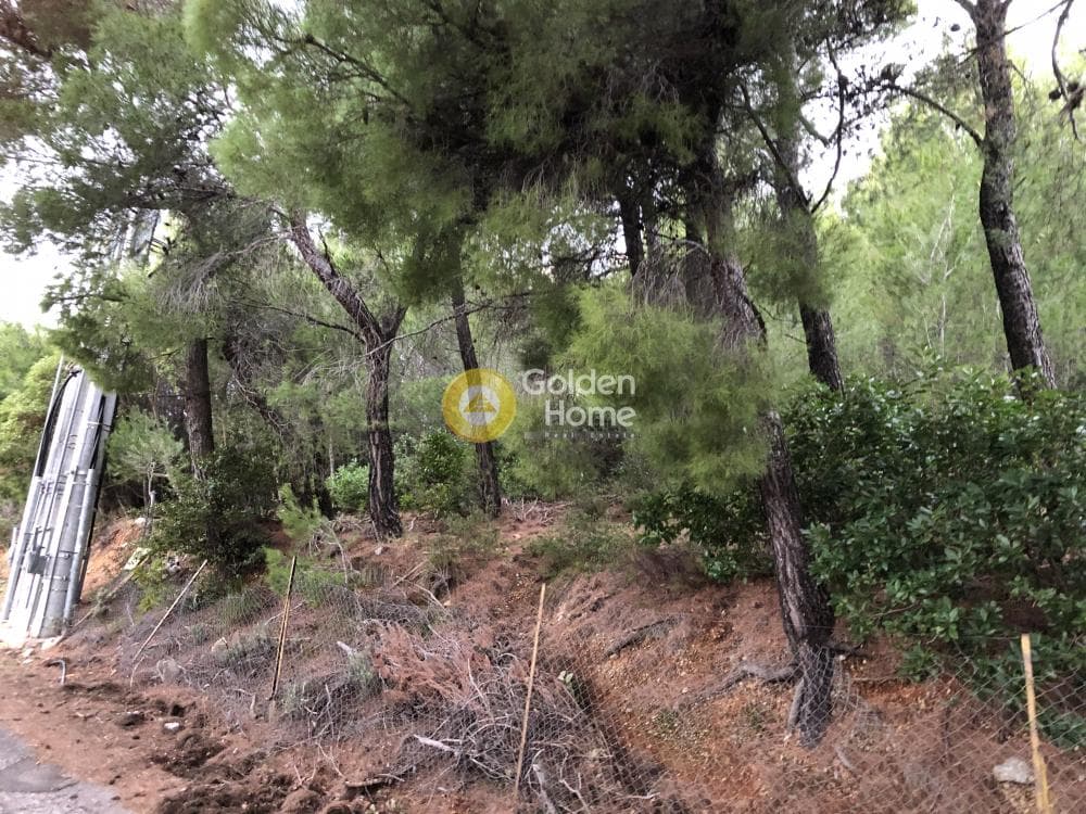 Building Plot in Megala Sxoinia A, Acharnes — Photo 5 of 9