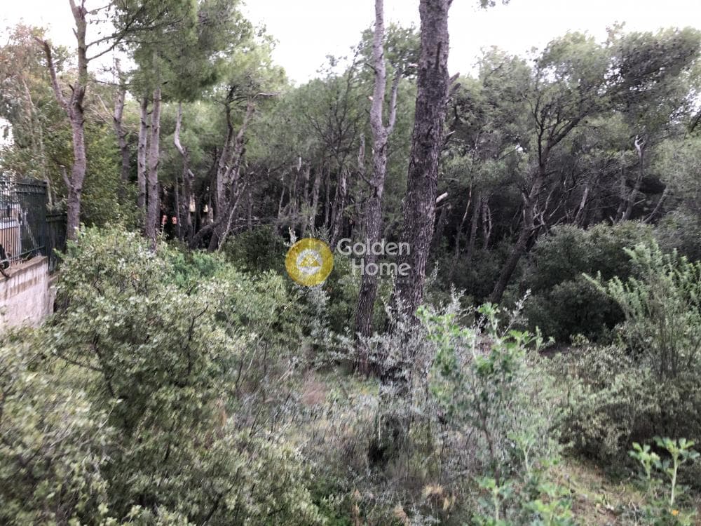 Building Plot in Megala Sxoinia A, Acharnes — Photo 1 of 6