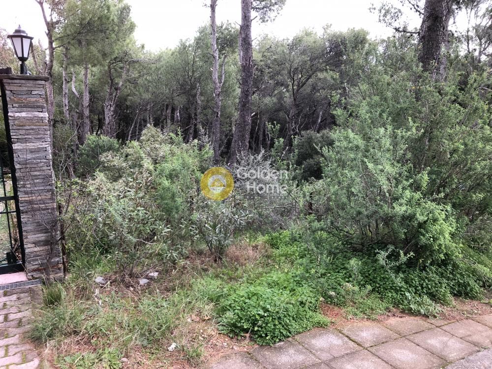 Building Plot in Megala Sxoinia A, Acharnes — Photo 4 of 6