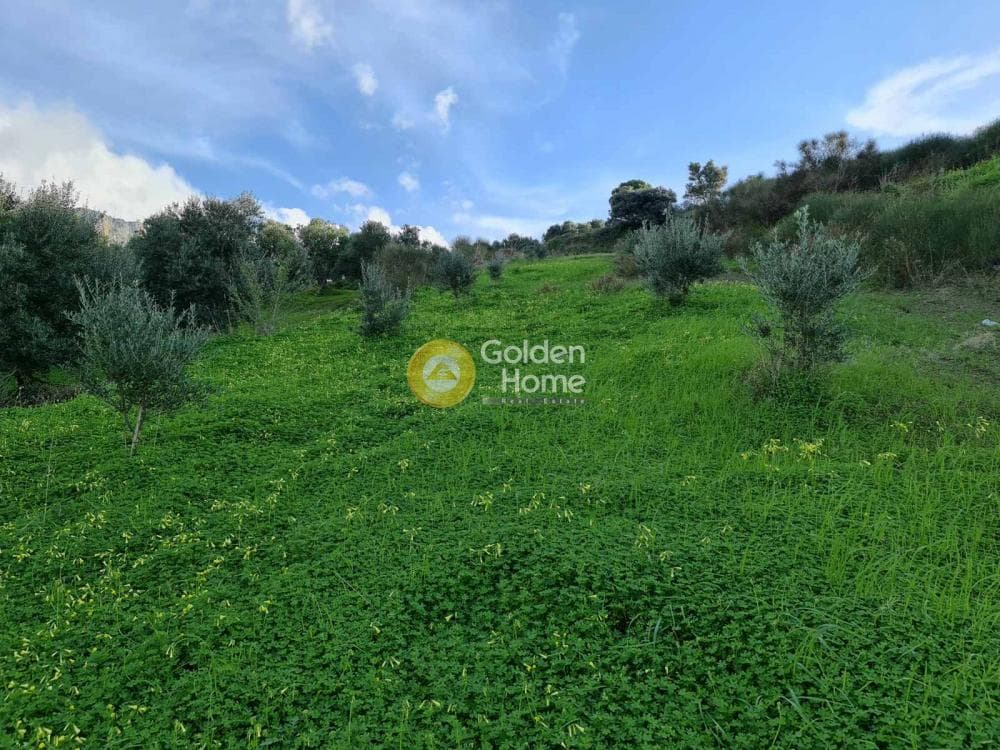 Parcel in Agios Vlasios, Archanes — Photo 3 of 13