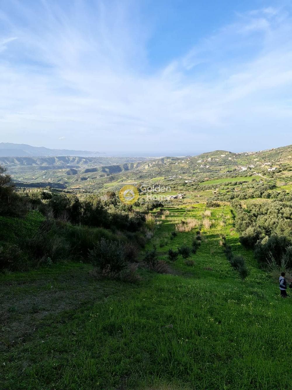 Parcel in Agios Vlasios, Archanes — Photo 4 of 13