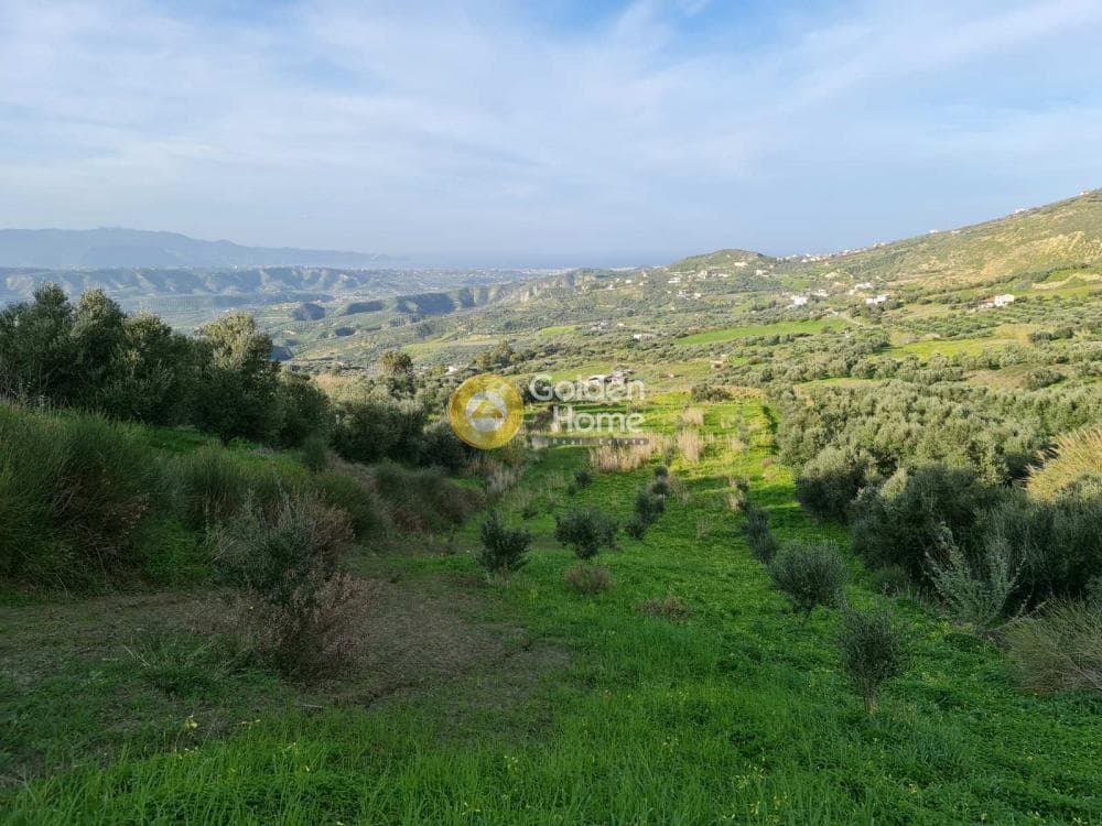 Parcel in Agios Vlasios, Archanes — Photo 6 of 13