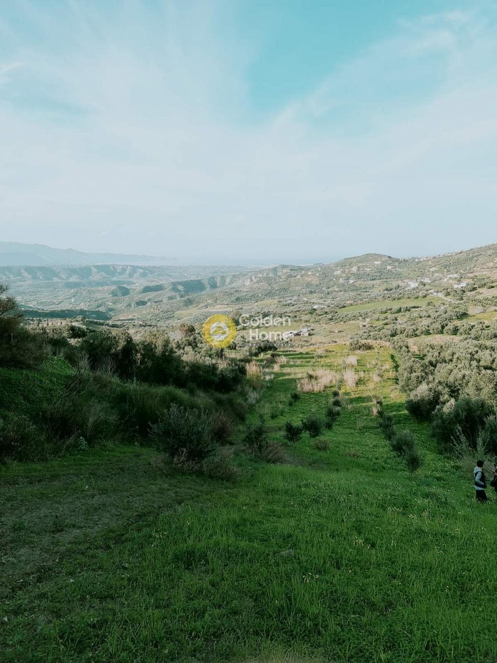 Parcel in Agios Vlasios, Archanes — Photo 8 of 13