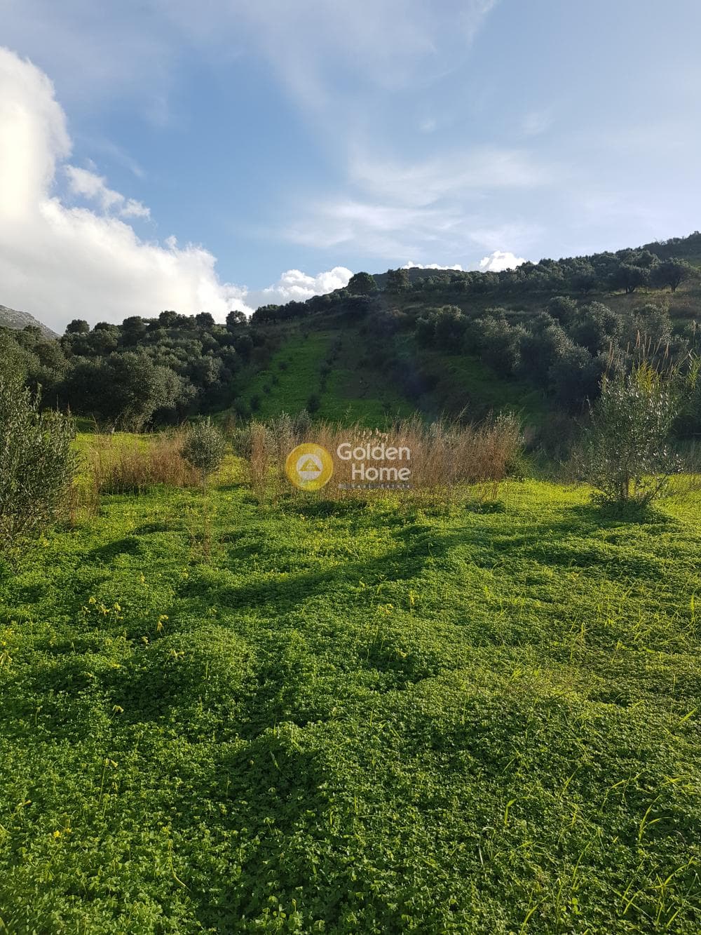 Parcel in Agios Vlasios, Archanes — Photo 9 of 13