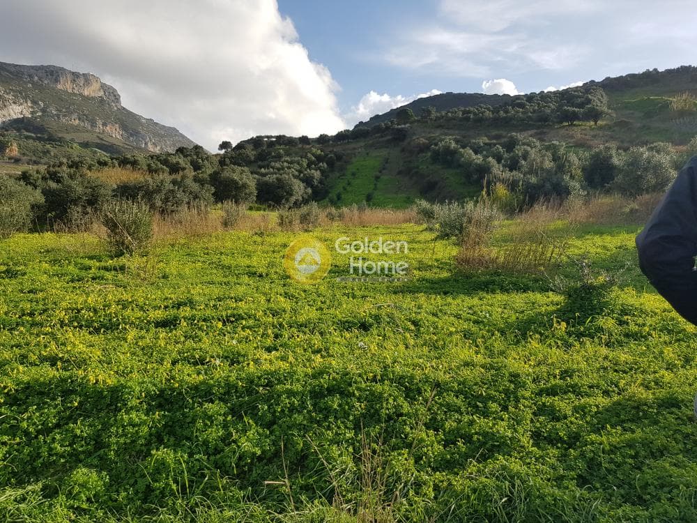 Parcel in Agios Vlasios, Archanes — Photo 12 of 13