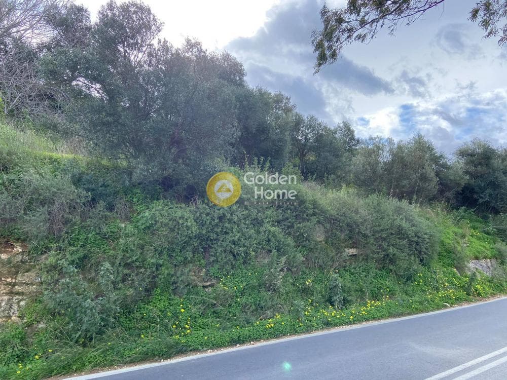 Οικόπεδο στην Κάτω Αρχάνες, Αρχάνες — Φωτογραφία 2 από 5