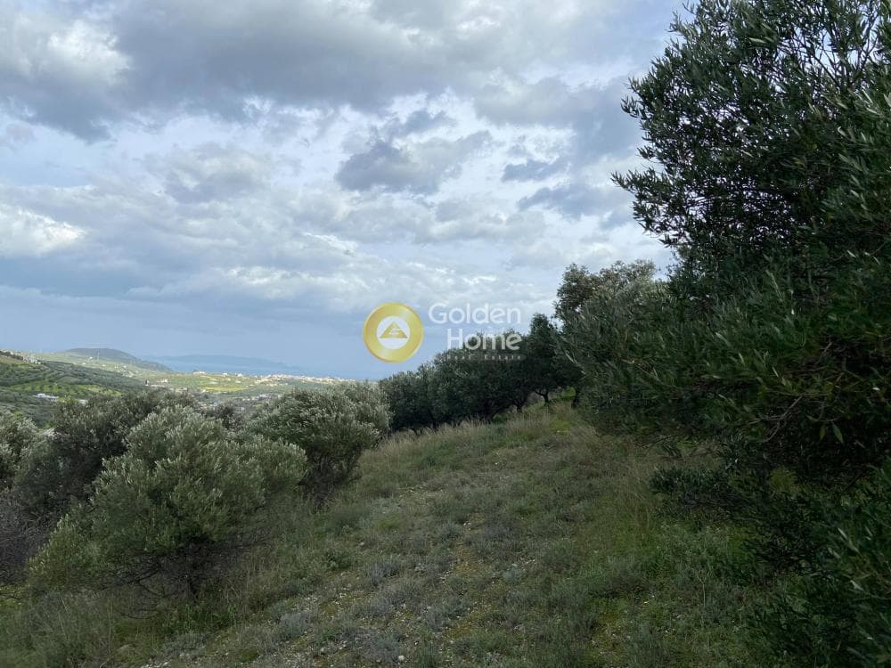 Οικόπεδο στην Κάτω Αρχάνες, Αρχάνες — Φωτογραφία 5 από 5