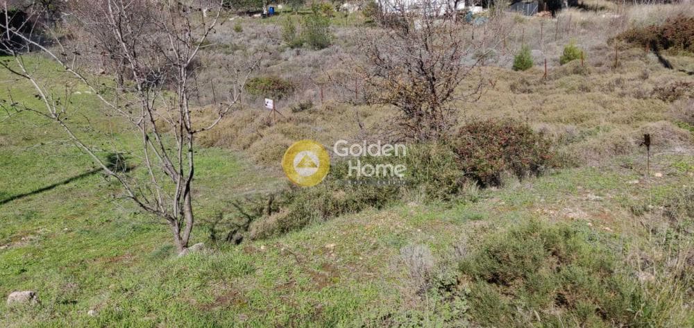 Οικόπεδο στην Καλλιθέα, Πεντέλη
