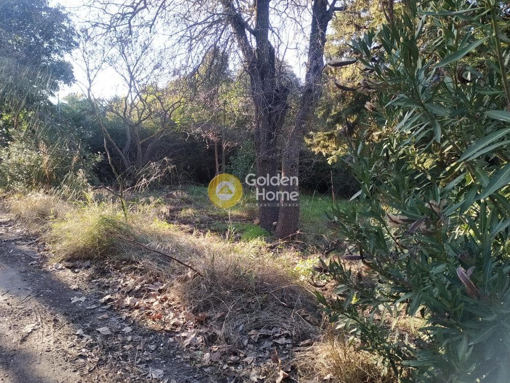 Οικόπεδο στην Δροσιά, Δροσιά — Φωτογραφία 4 από 8