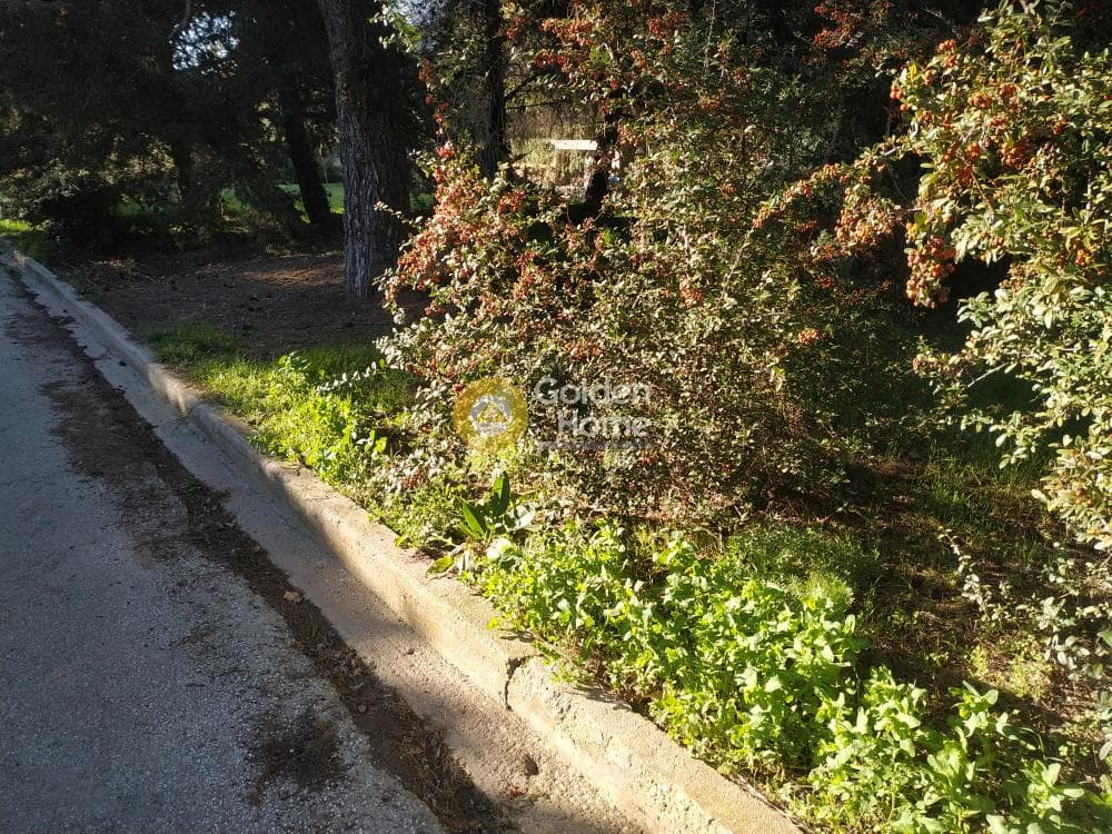 Οικόπεδο στην Δροσιά, Δροσιά — Φωτογραφία 5 από 8