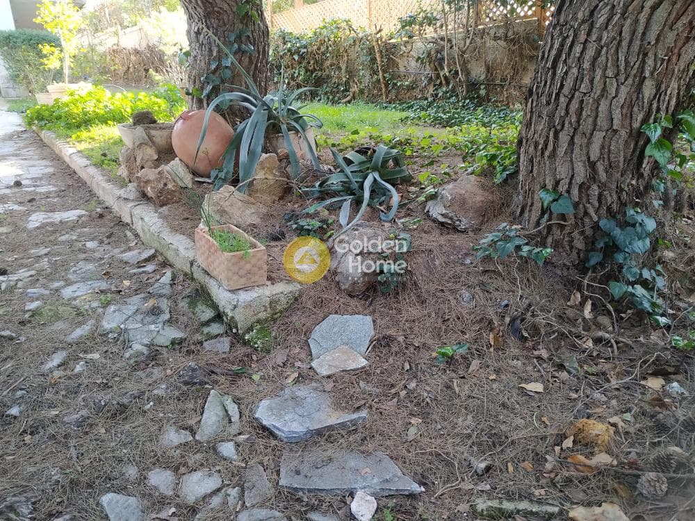 Οικόπεδο στην Δροσιά, Δροσιά — Φωτογραφία 1 από 8