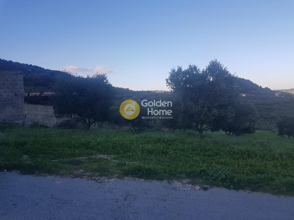 Αγροτεμάχιο στην Αυγενική, Τετραχώρι — Φωτογραφία 1 από 7