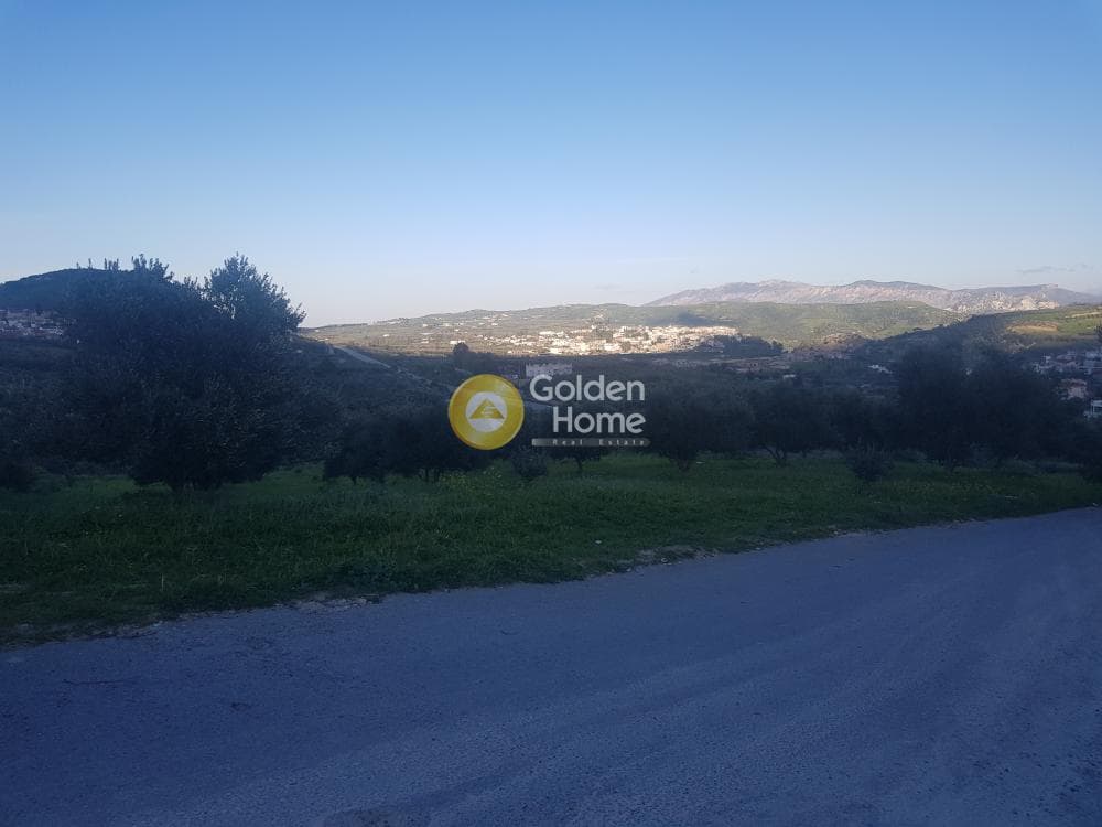 Αγροτεμάχιο στην Αυγενική, Τετραχώρι — Φωτογραφία 2 από 7