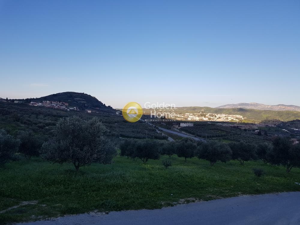 Αγροτεμάχιο στην Αυγενική, Τετραχώρι — Φωτογραφία 3 από 7