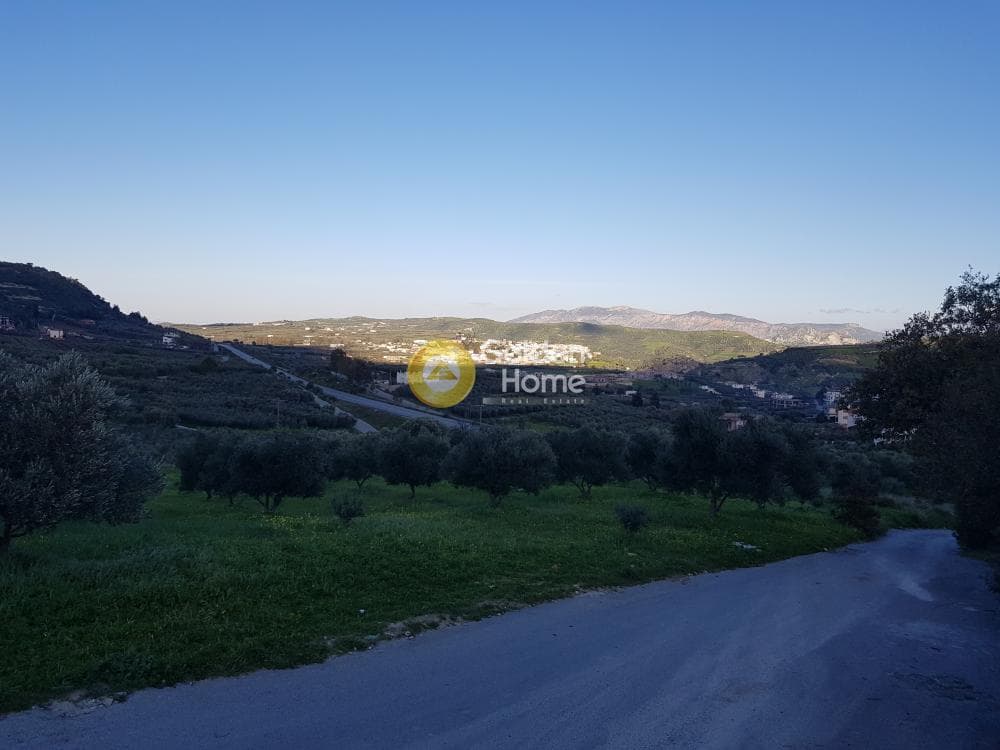 Αγροτεμάχιο στην Αυγενική, Τετραχώρι — Φωτογραφία 4 από 7