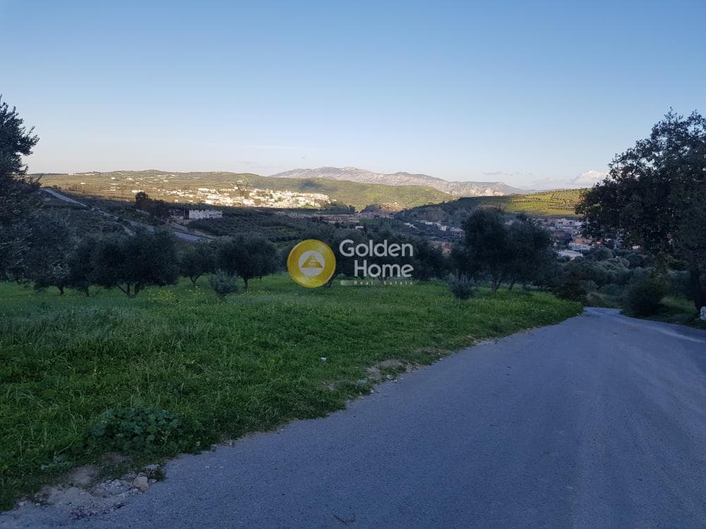 Αγροτεμάχιο στην Αυγενική, Τετραχώρι — Φωτογραφία 5 από 7
