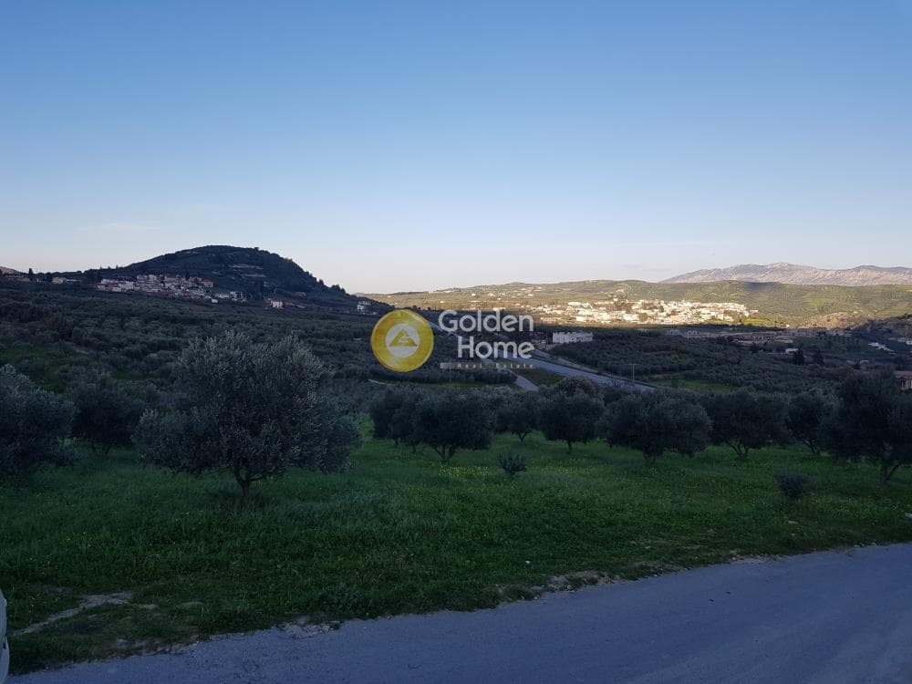 Αγροτεμάχιο στην Αυγενική, Τετραχώρι — Φωτογραφία 6 από 7