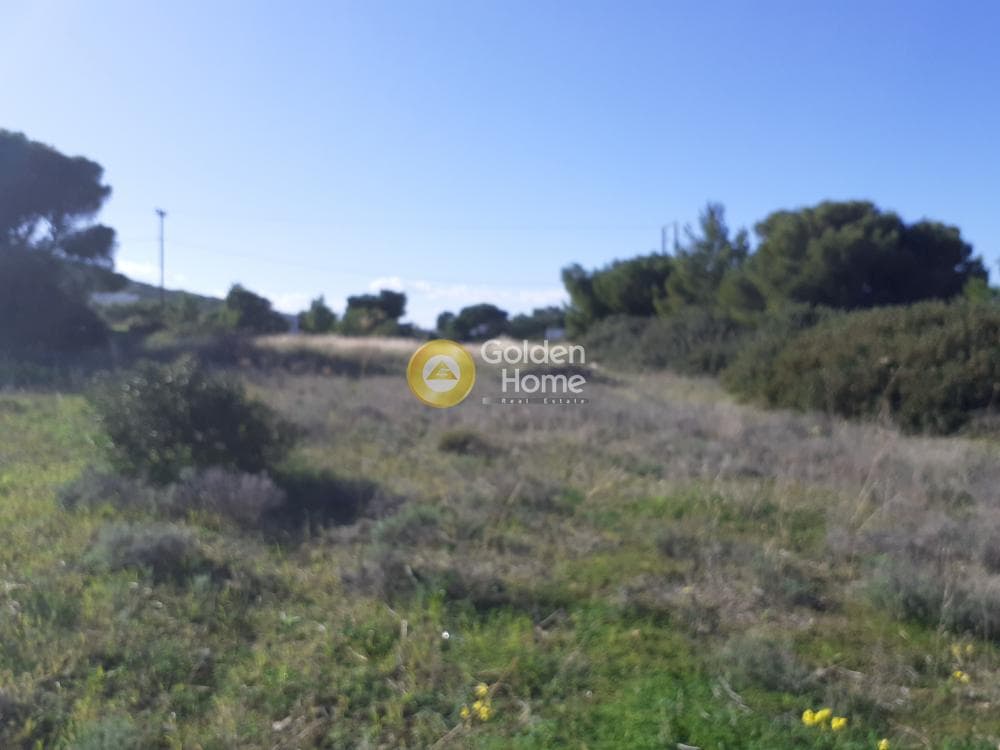 Building Plot in Vaΐa, Aegina — Photo 8 of 8
