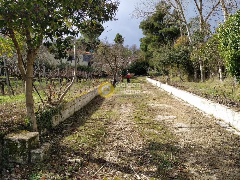 Μονοκατοικία στην Κέντρο, Κ. Καπανδριτίου — Φωτογραφία 3 από 17