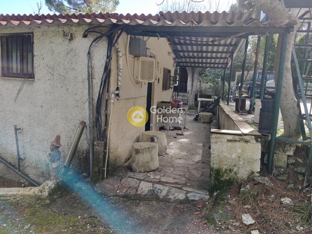 Μονοκατοικία στην Κέντρο, Κ. Καπανδριτίου — Φωτογραφία 17 από 17