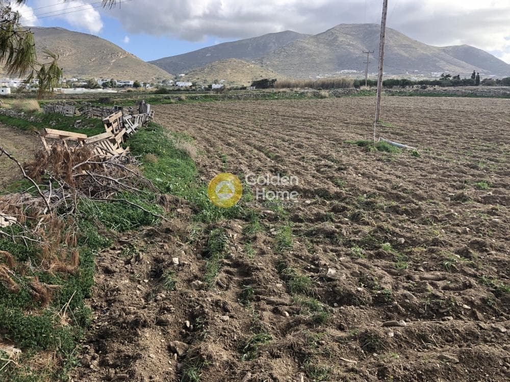 Αγροτεμάχιο στην Παράσπορος, Πάρος — Φωτογραφία 3 από 10