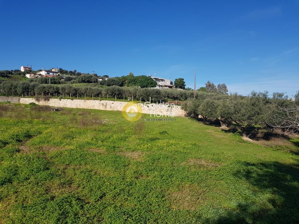 Αγροτεμάχιο στην Αγία Τριάδα, Ηράκλειο Κρήτης — Φωτογραφία 4 από 4