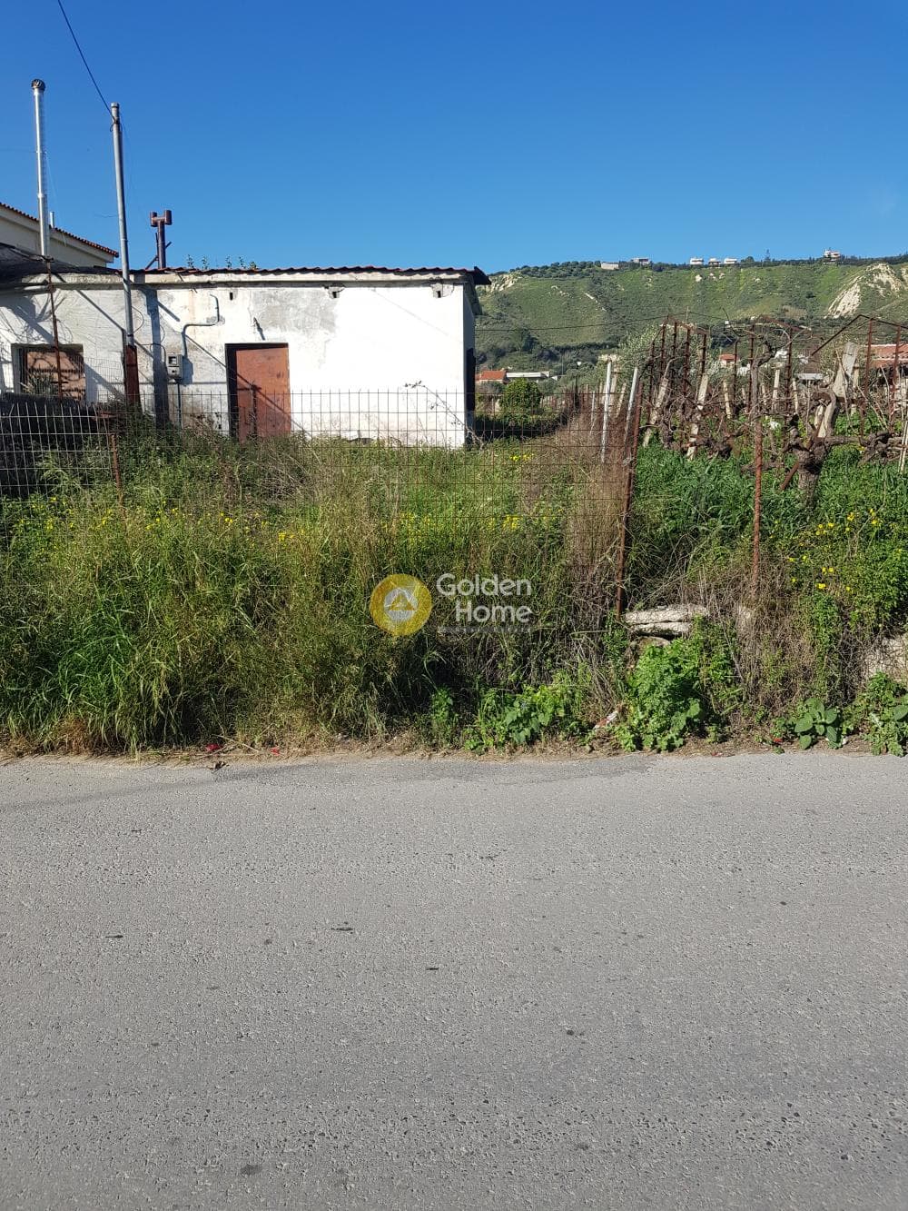 Parcel in Foinikia, Temenos — Photo 3 of 3