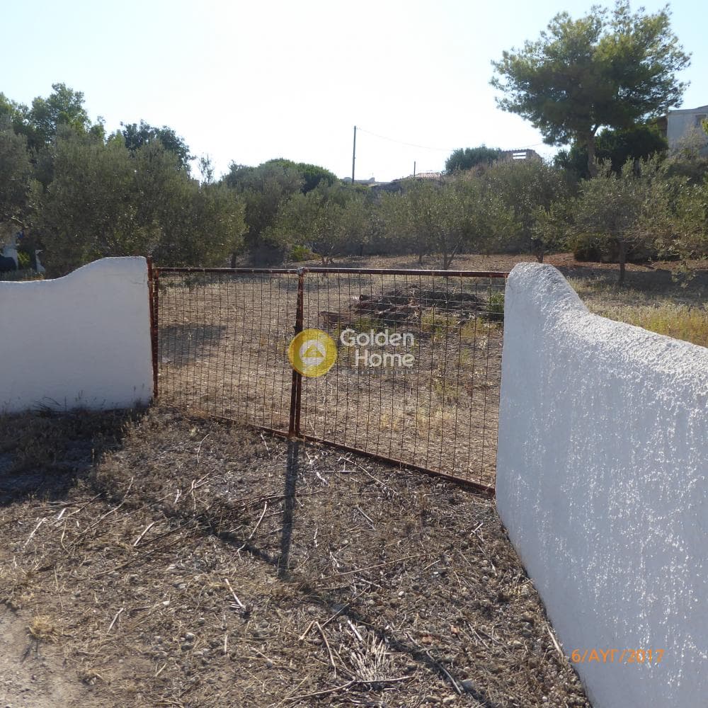 Οικόπεδο στην Θερμά, Αίγινα — Φωτογραφία 3 από 6