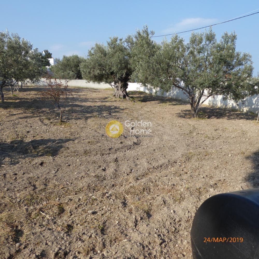 Οικόπεδο στην Θερμά, Αίγινα — Φωτογραφία 4 από 6