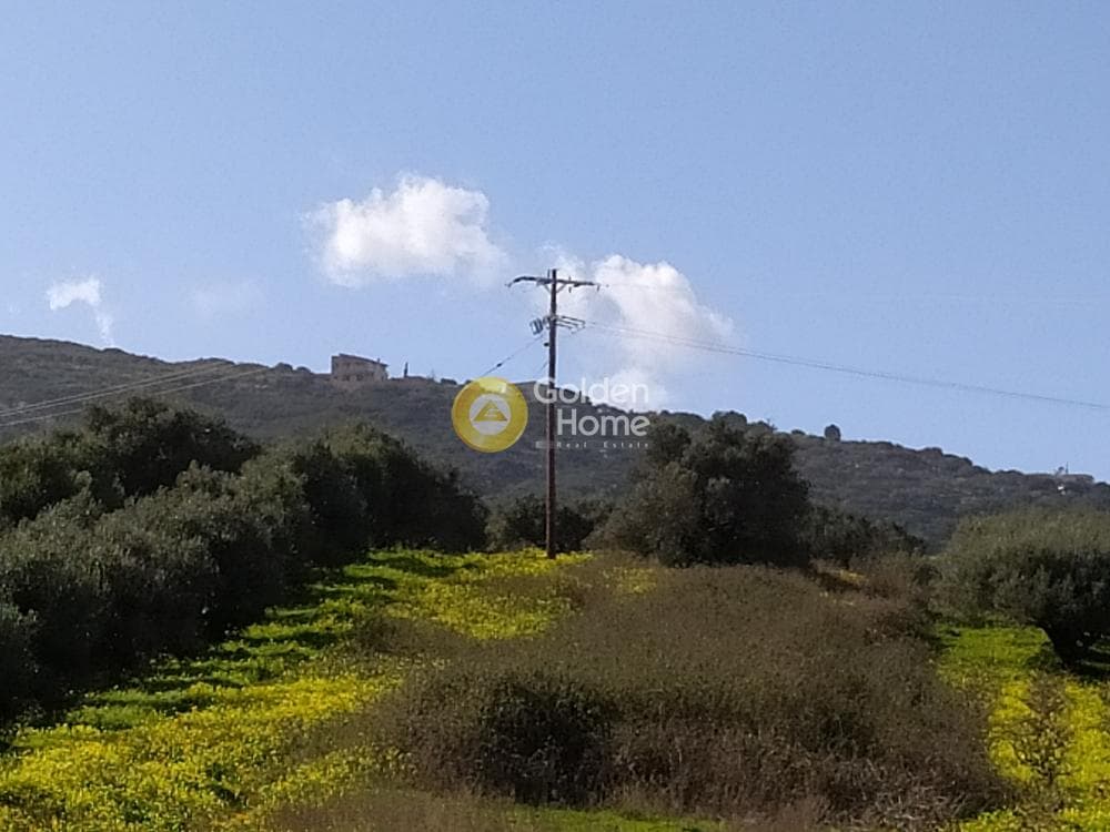 Αγροτεμάχιο στην Κουνάβοι, Αρχάνες — Φωτογραφία 4 από 7