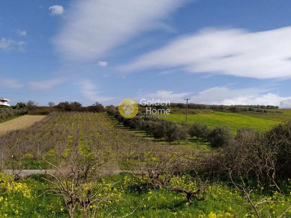 Αγροτεμάχιο στην Κουνάβοι, Αρχάνες — Φωτογραφία 5 από 7