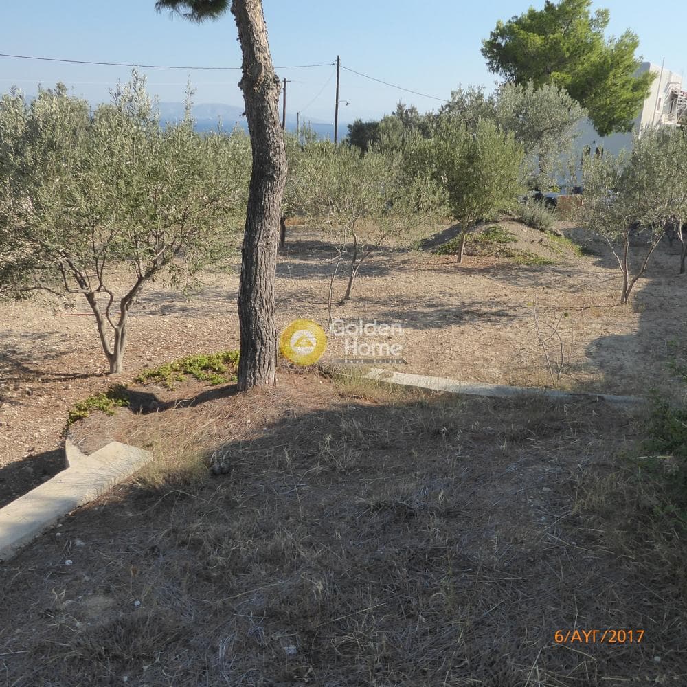 Building Plot in Therma, Aegina — Photo 3 of 5