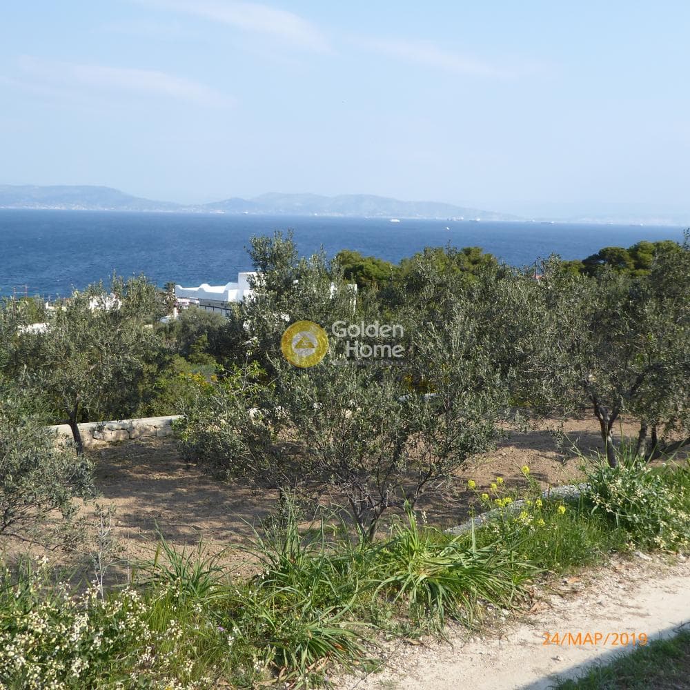 Building Plot in Therma, Aegina — Photo 5 of 5