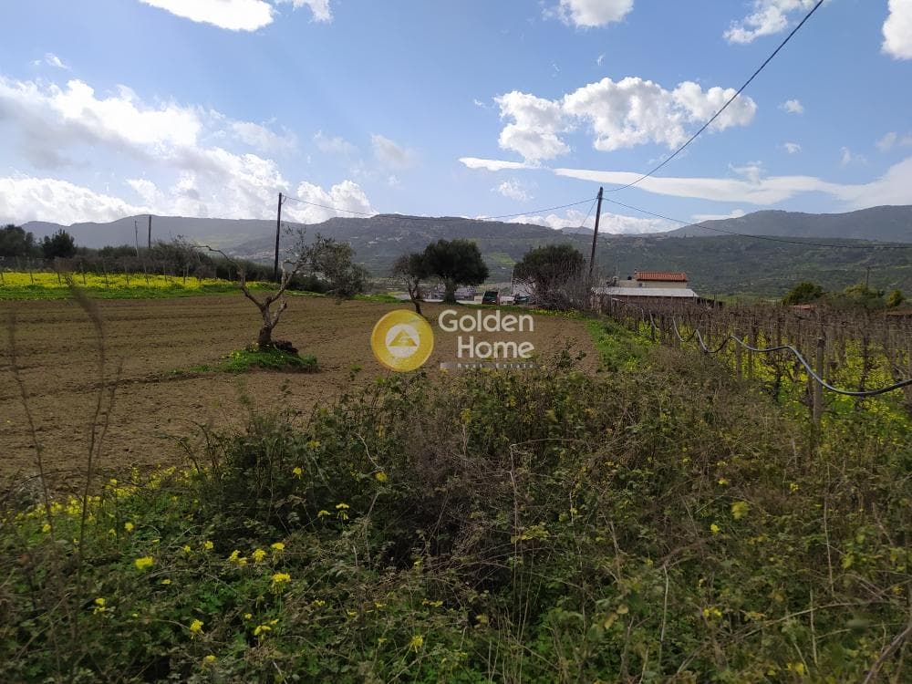 Parcel in Mirtia, Episkopi — Photo 1 of 7